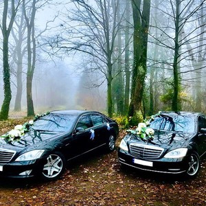 Весільний кортеж Mercedes S221, фото 12