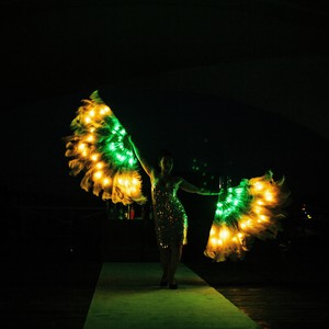 Світлодіодні виступи, вогняний танець з нареченими, фото 1