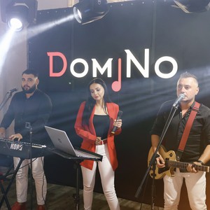 Music band "DomiNo", фото 9