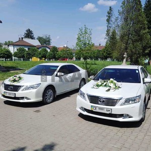 Авто на весілля весільні автомобілі, фото 2