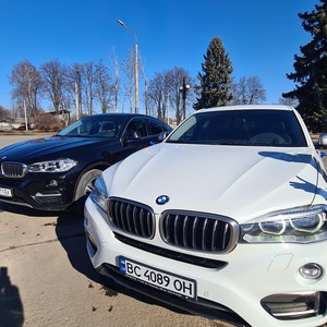 BMW X6 чорного і білого кольору, фото 14