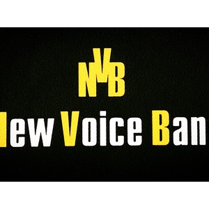 New Voice band, фото 28