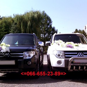 Весільний кортеж Mitsubishi Pajero Wagon, фото 15