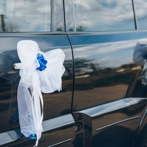 Свадебный кортеж Mitsubishi Pajero Wagon, фото 4