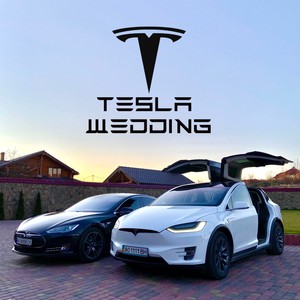 Tesla Model S, фото 1
