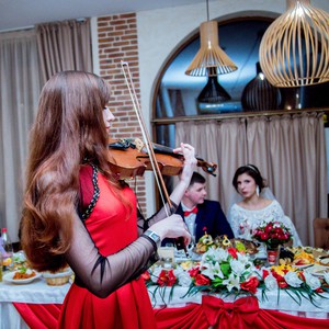 Профессиональная скрипачка ViolAnna, фото 26
