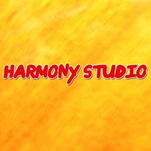 Harmony-studio Андрій Гоц, фото 12