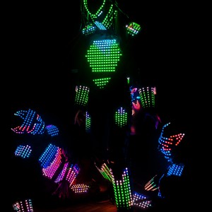 Cветовое, лазерное шоу "Aliens", фото 23