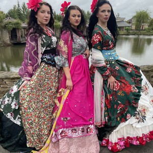 Аніматори «Циганочки», фото 3