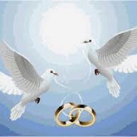 Білі голуби на Весілля, фото 13