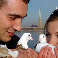 Білі голуби на Весілля, фото 15