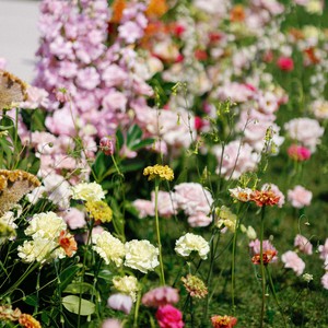 Василь Балан, фото 9