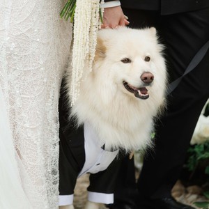 Василь Балан, фото 5