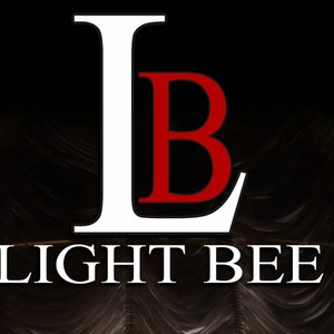 Видеостудия "LIGHT BEE"