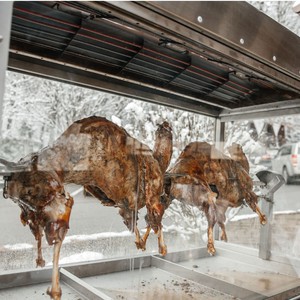 Бухта Вікінгів, фото 8