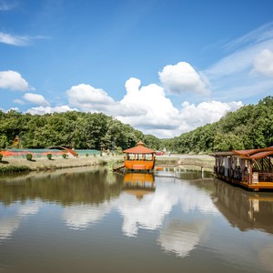 Бухта Вікінгів, фото 2