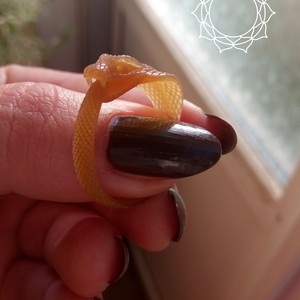 Обручальные кольца от Амала Самбар, фото 3