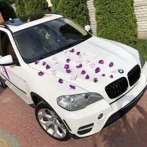 Авто BMW X5 на Свадьбу, фото 2