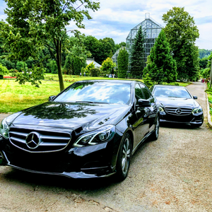 Mercedes E-Class, S-Class, V-Class, Toyota, BMW, фото 18