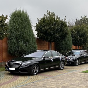Mercedes S-Class,E-Class,GLE,V-Class, фото 10