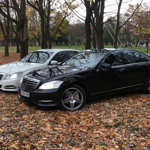 Mercedes S-Class,E-Class,GLE,V-Class, фото 8