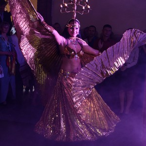 Східна танцівниця "АМІРА" Катя, фото 13