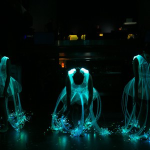 Lady Light - світлові танцівниці, фото 10