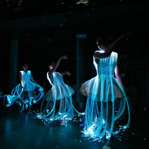 Lady Light - световые танцовщицы, фото 3