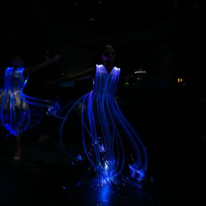 Lady Light - световые танцовщицы, фото 6