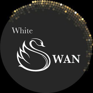 White Swan, фото 2