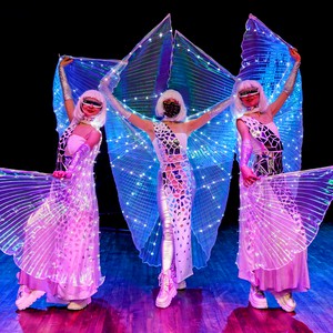 Шоу вогню та світла Terra Flamma, фото 3