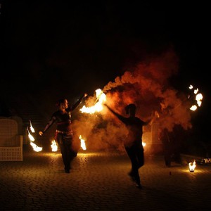 F.E.W.Project- огненно-пиротехническое шоу, фото 6