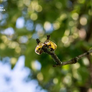 Наталія Кухтяк фотограф студії KVeN, фото 35