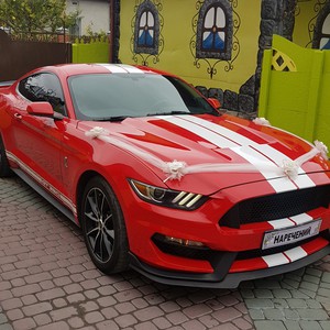 Ford Mustang, фото 4