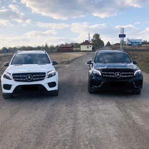 Mercedes GLS 2019 (Black and White), фото 2