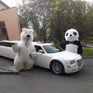 Оренда авто на весілля avto_na_vesillya_rivne, фото 28