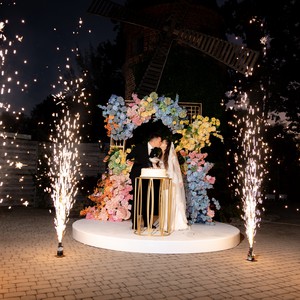 Ведучий Петро  + Dj, фото 9