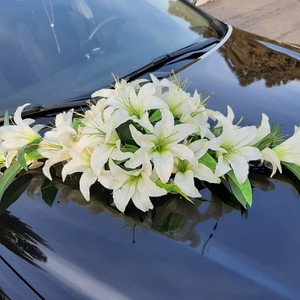 Toyota CAMRY Весільний кортеж, фото 6