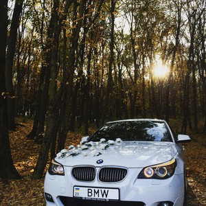 Свадебный кортеж BMW, фото 31
