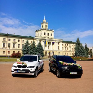 Свадебный кортеж BMW X5, фото 22