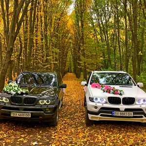 Свадебный кортеж BMW X5, фото 10