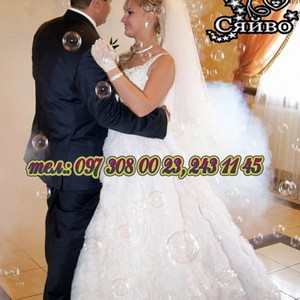 Все для першого танцю, фото 7