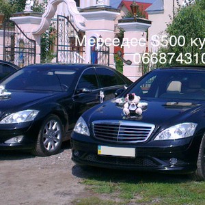 Прокат Святкових Авто на Весілля Оренда Лімузинів, фото 22