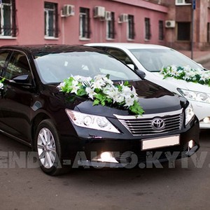 KyivAvto - автомобили на свадьбу и даже больше!, фото 3