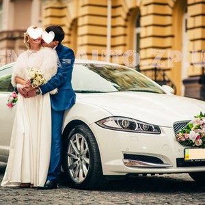 UAuto ZP - автомобілі на Ваше весілля