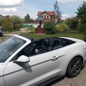 Mustang Cabrio, фото 7