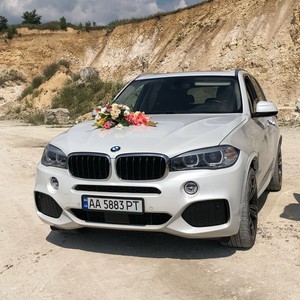 BMW X5M, фото 15