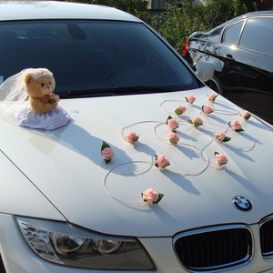 Украшения на свадебные автомобили, фото 17