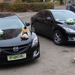 Украшения на свадебные автомобили, фото 22