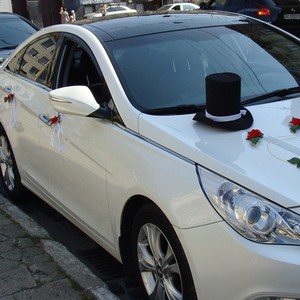 Украшения на свадебные автомобили, фото 36